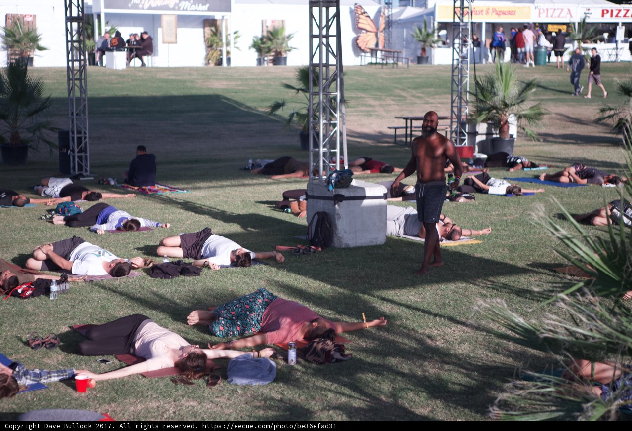 Lazy Days on the Coachella Lawn