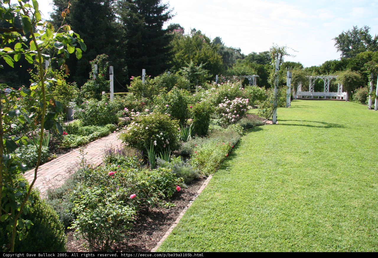 A Luscious Garden Path