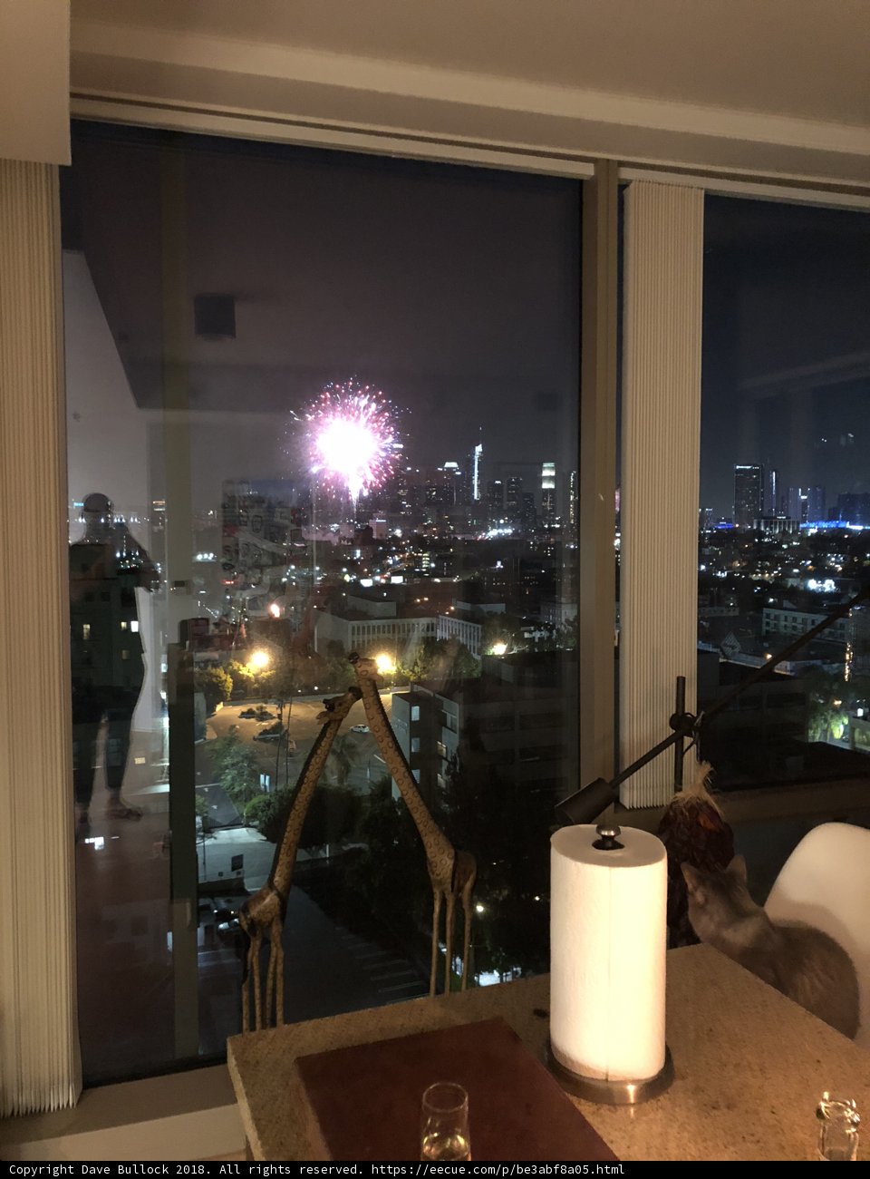 City Lights and Fireworks