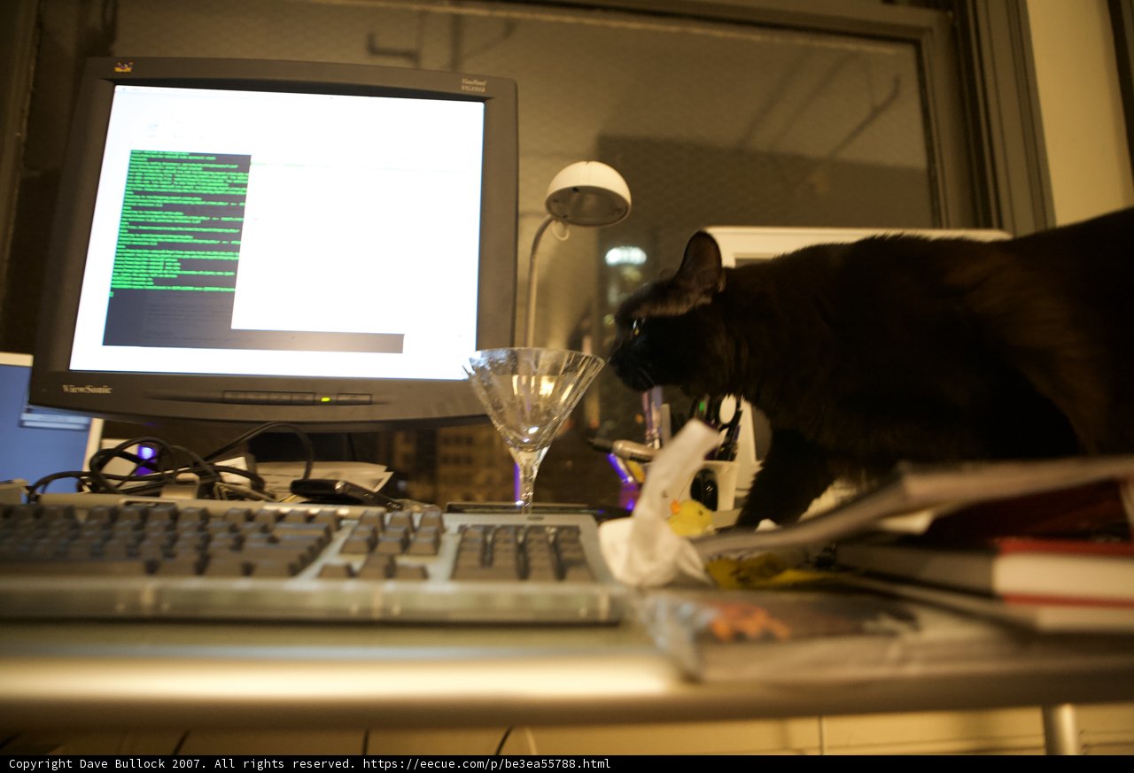 Busy Cat at the Computer Desk