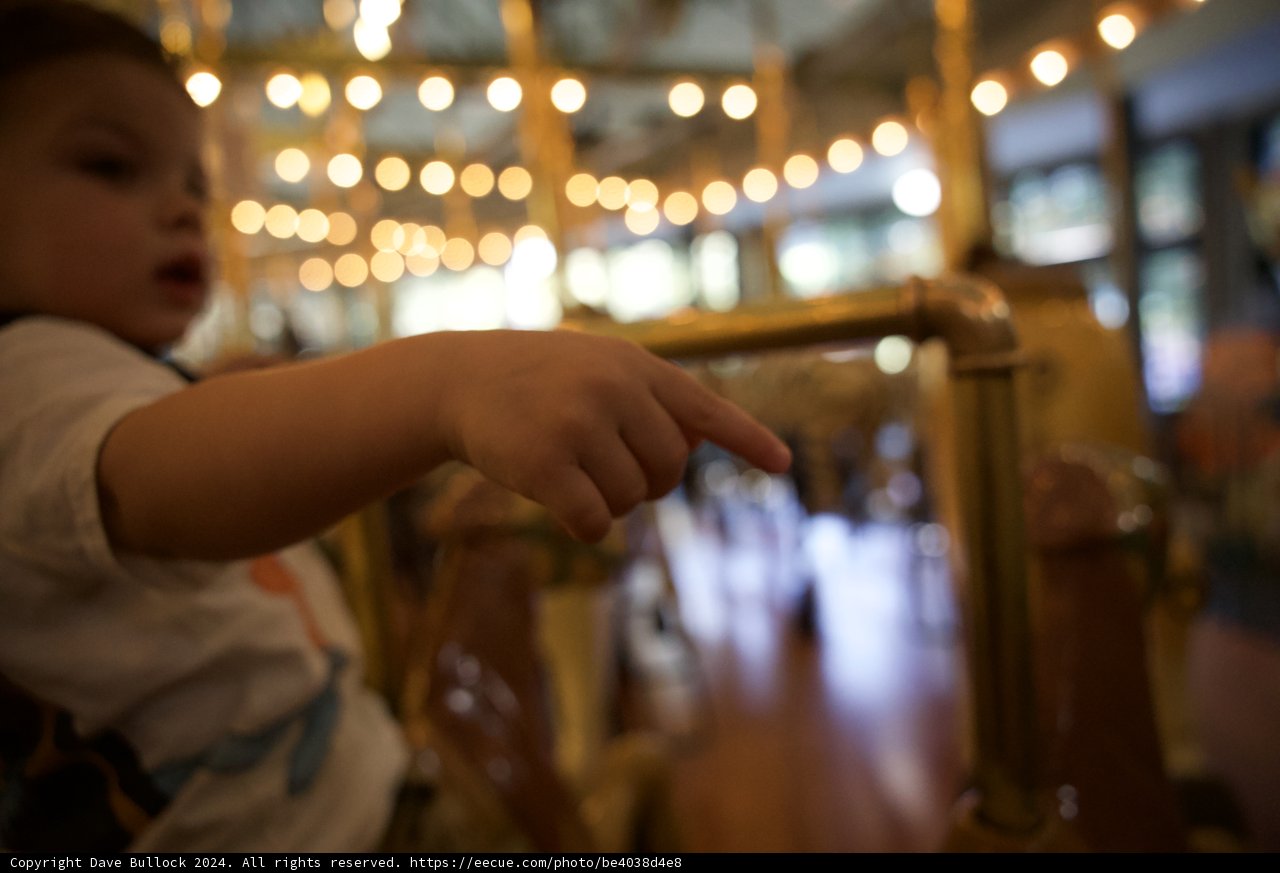 Point of Wonder: A Young Explorer's Journey