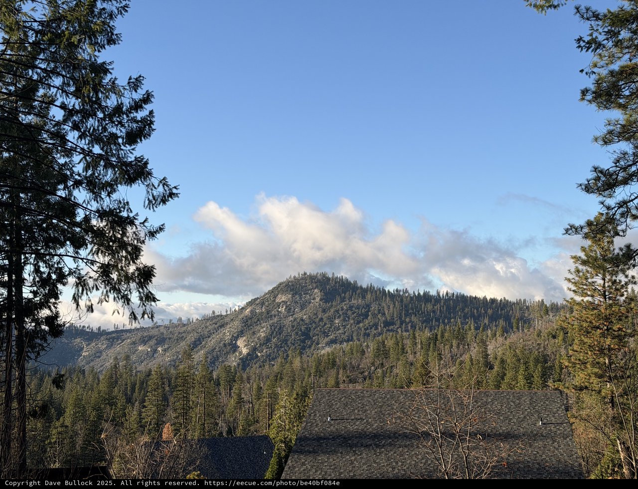 Pine-Framed Mountain Peak Under Winter Clouds