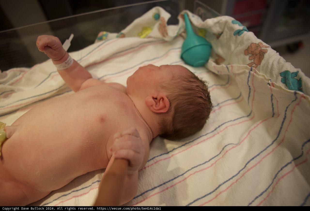 Welcome to the World, Leland