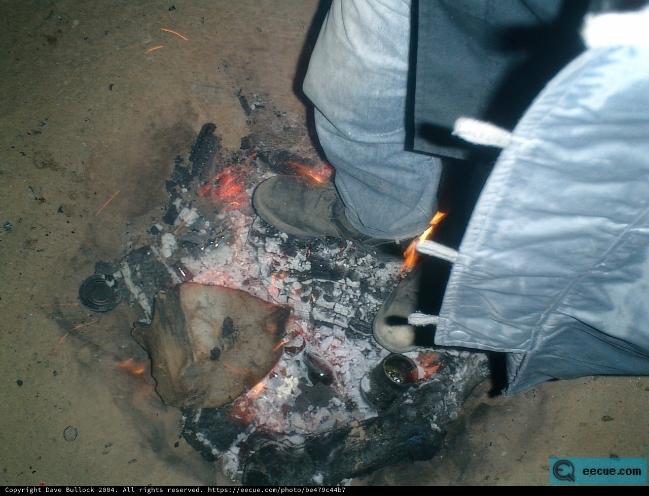Flames of the Wild