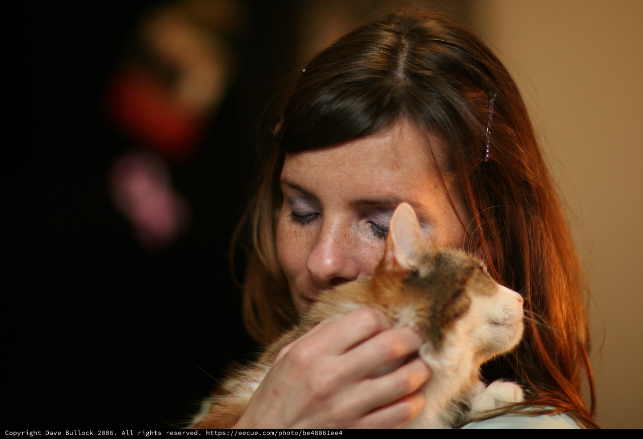 Woman Tenderly Nuzzling an Orange Tabby Kitten