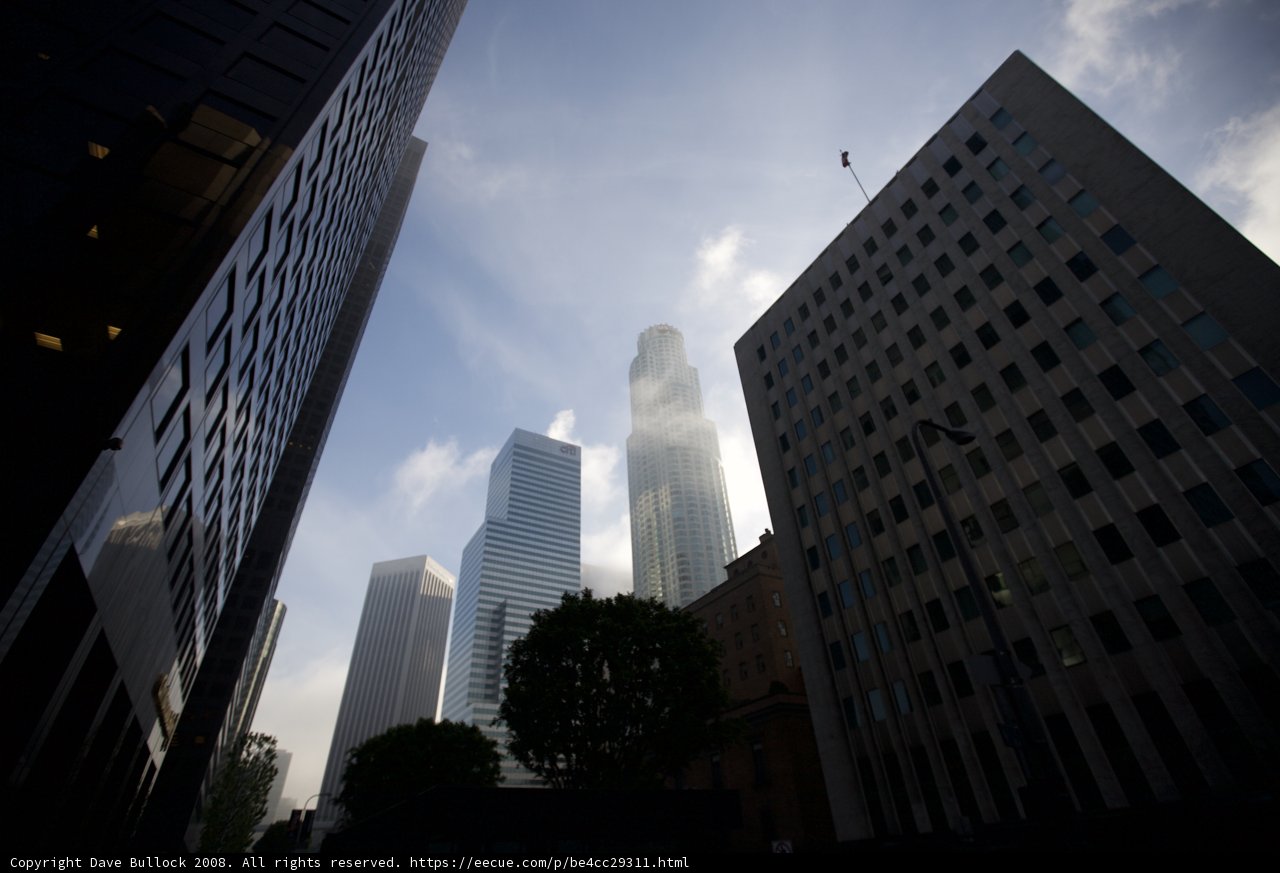 A Glimpse into the Urban Metropolis