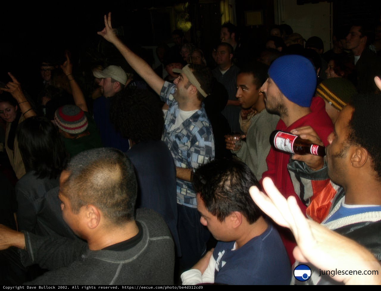 Partygoers Get Their Hands Up