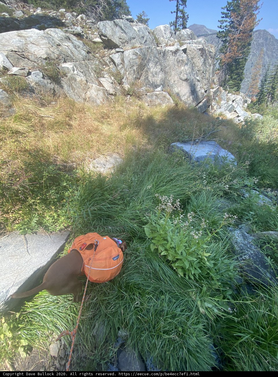 Resting by the Rocks