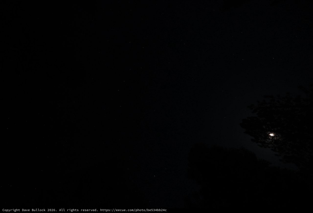 Moonlit Night Sky Over Lassen Volcanic Forest