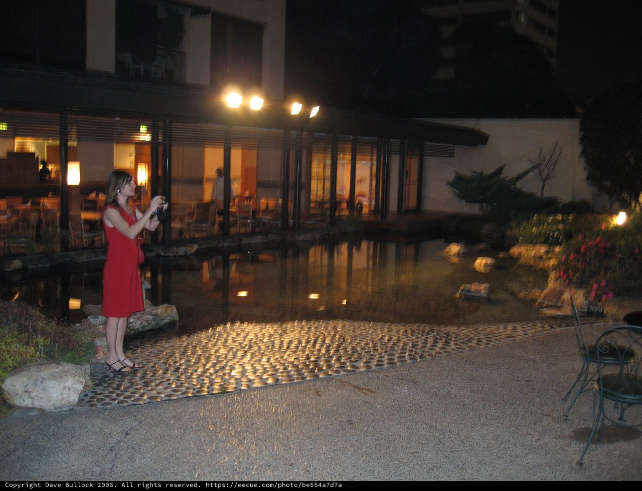 Woman in Red Photographs Hotel Pond at Night