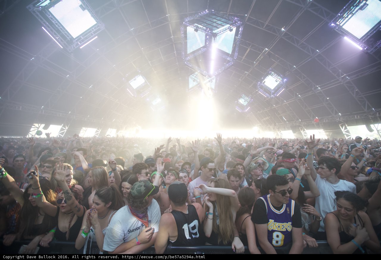 Coachella Concert Crowd