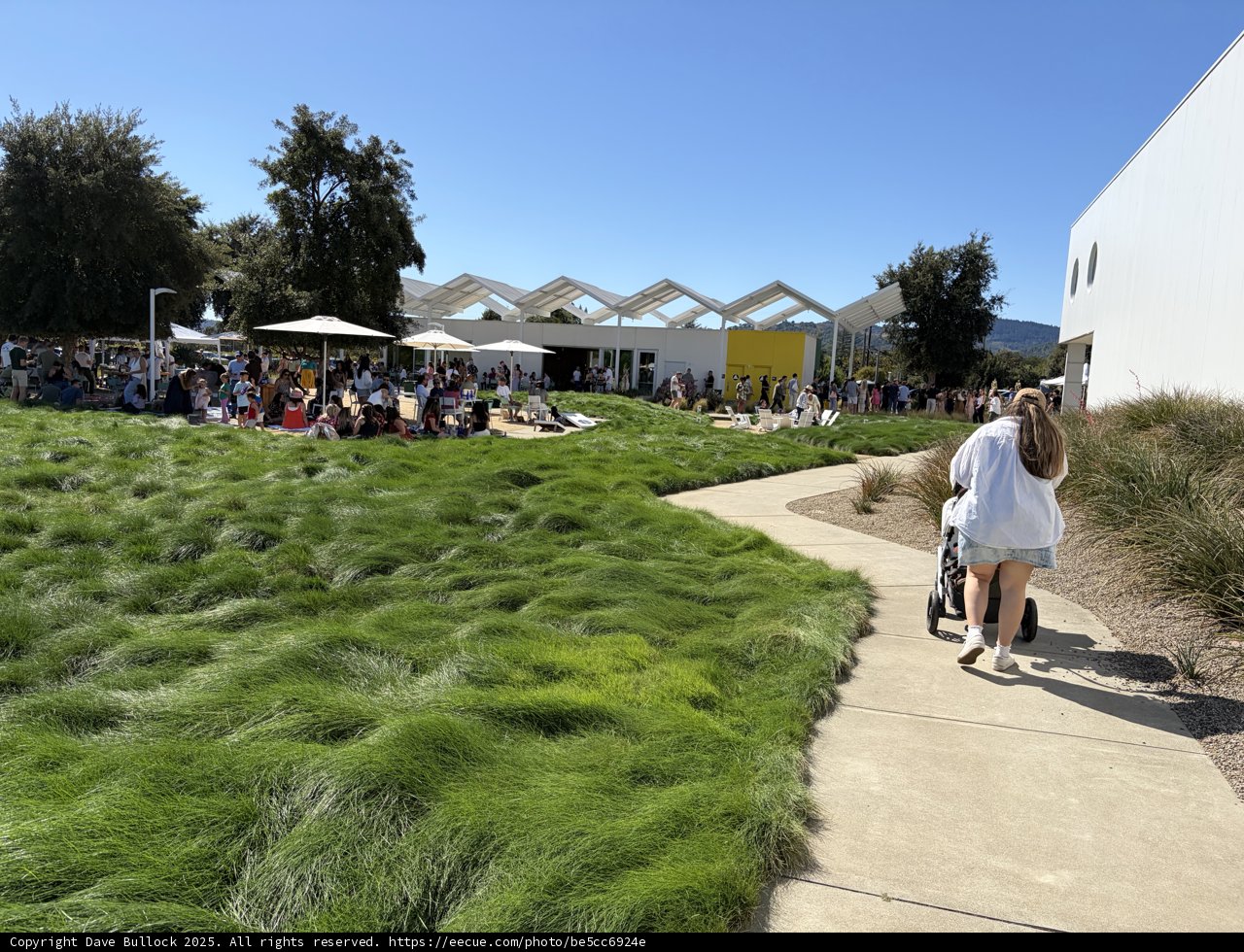 A Stroll Through Napa's Vibrant Green Spaces