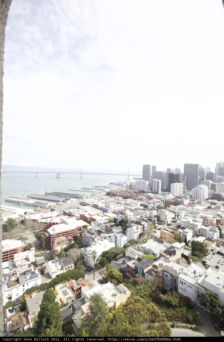 Elevated Urban Landscape