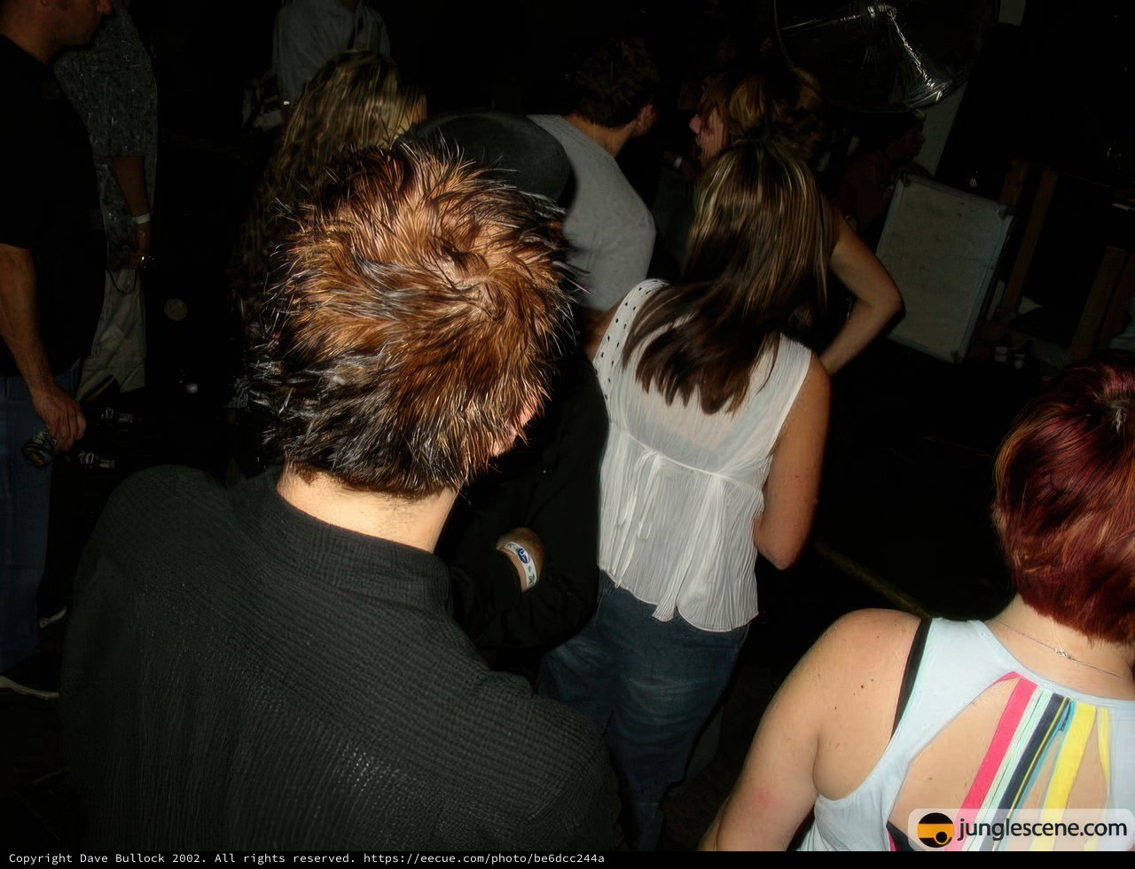 Night Club Fun