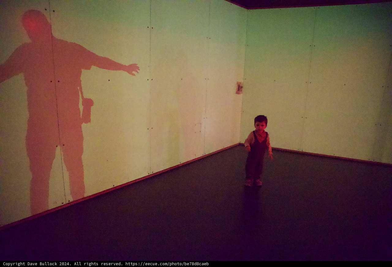 Shadows and Innocence