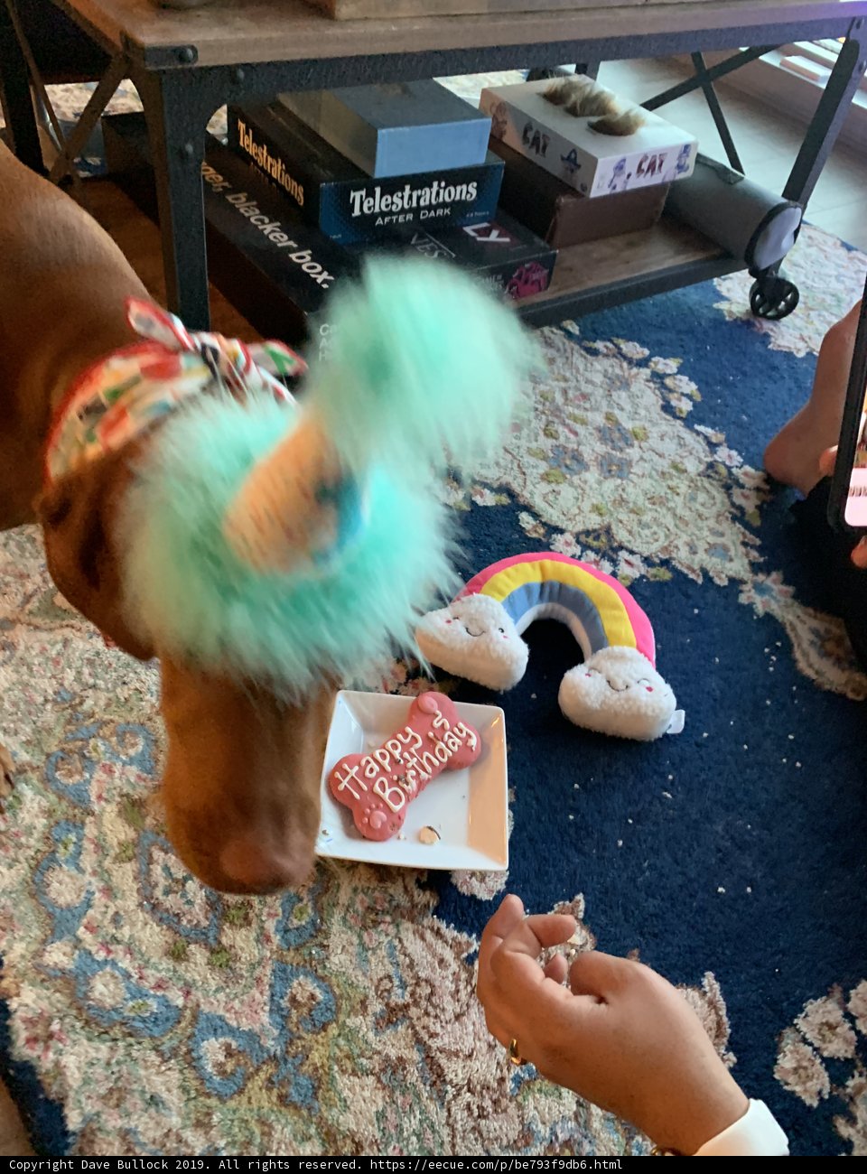 Party Pup