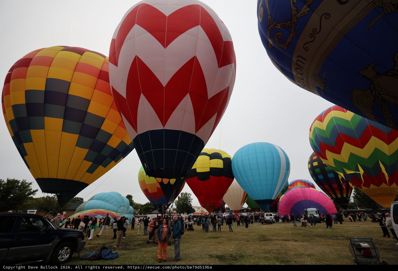 Colorful Hot Air Balloons Fill the Sky at Festival