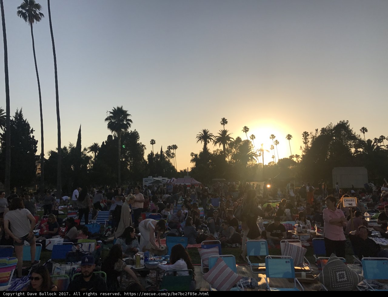 Summer Picnic Fun