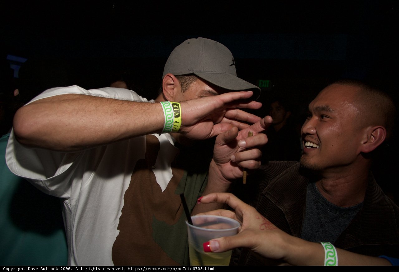 Partygoers Raise a Toast