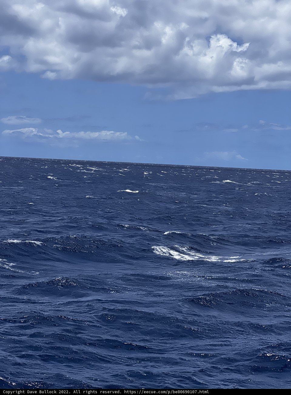 Tranquil Horizon of the North Pacific Ocean