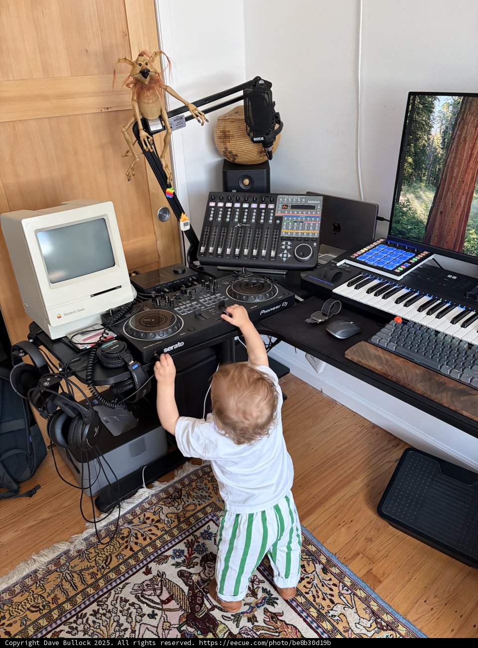 Little Maestro in the Making