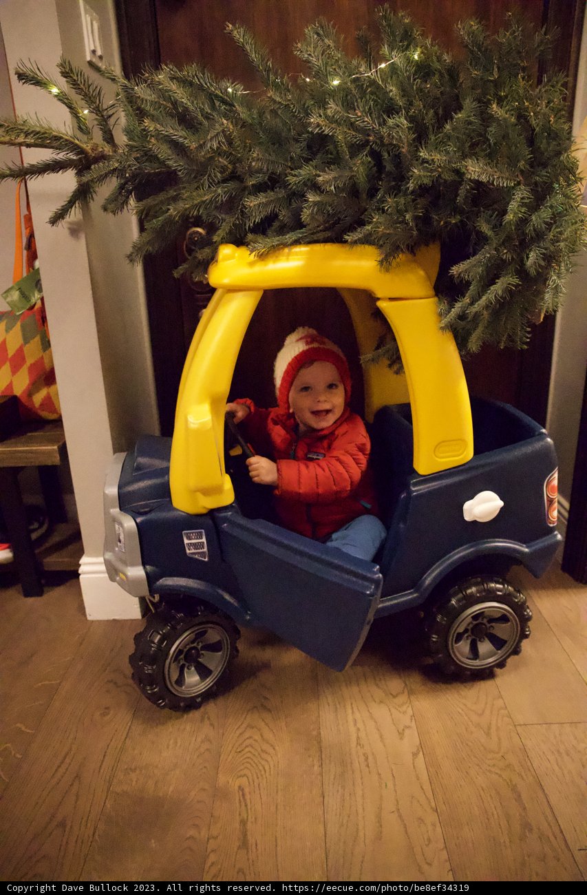 Wesley's Holiday Adventure Ride