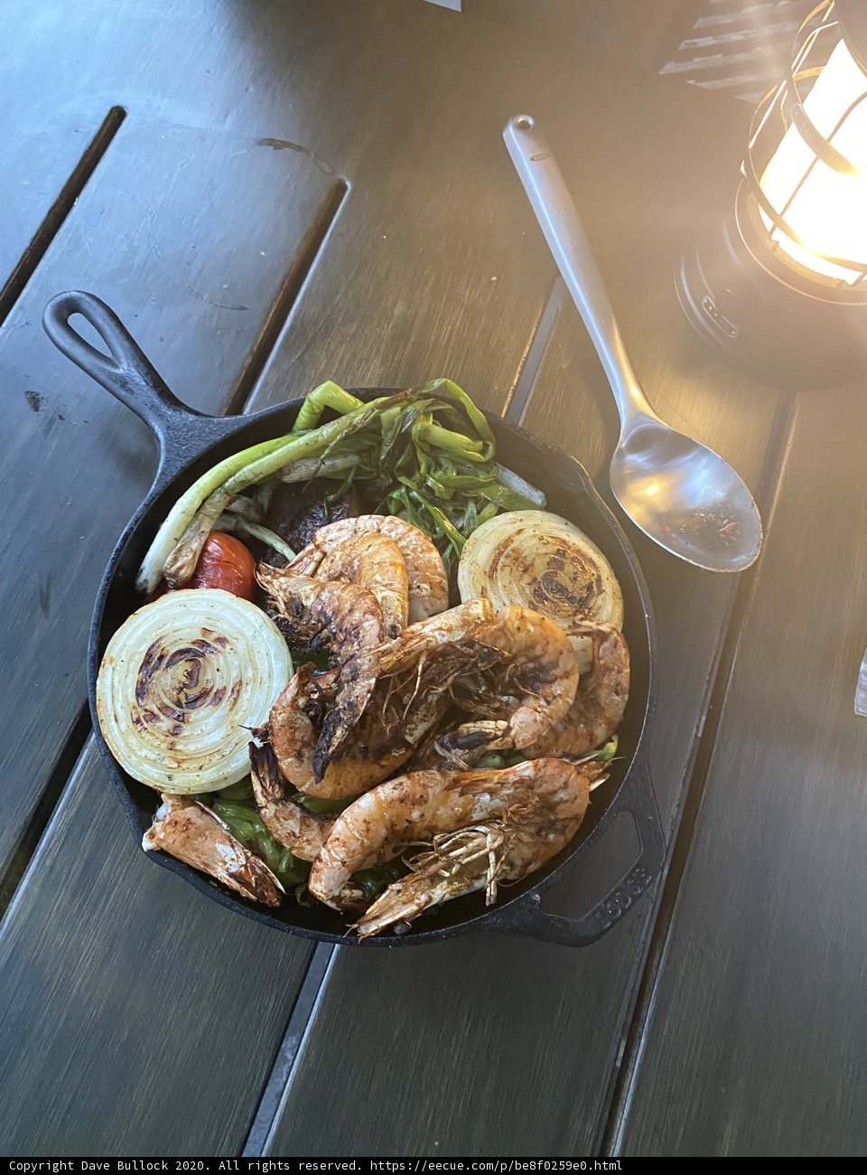 Sizzling Skillet Delights
