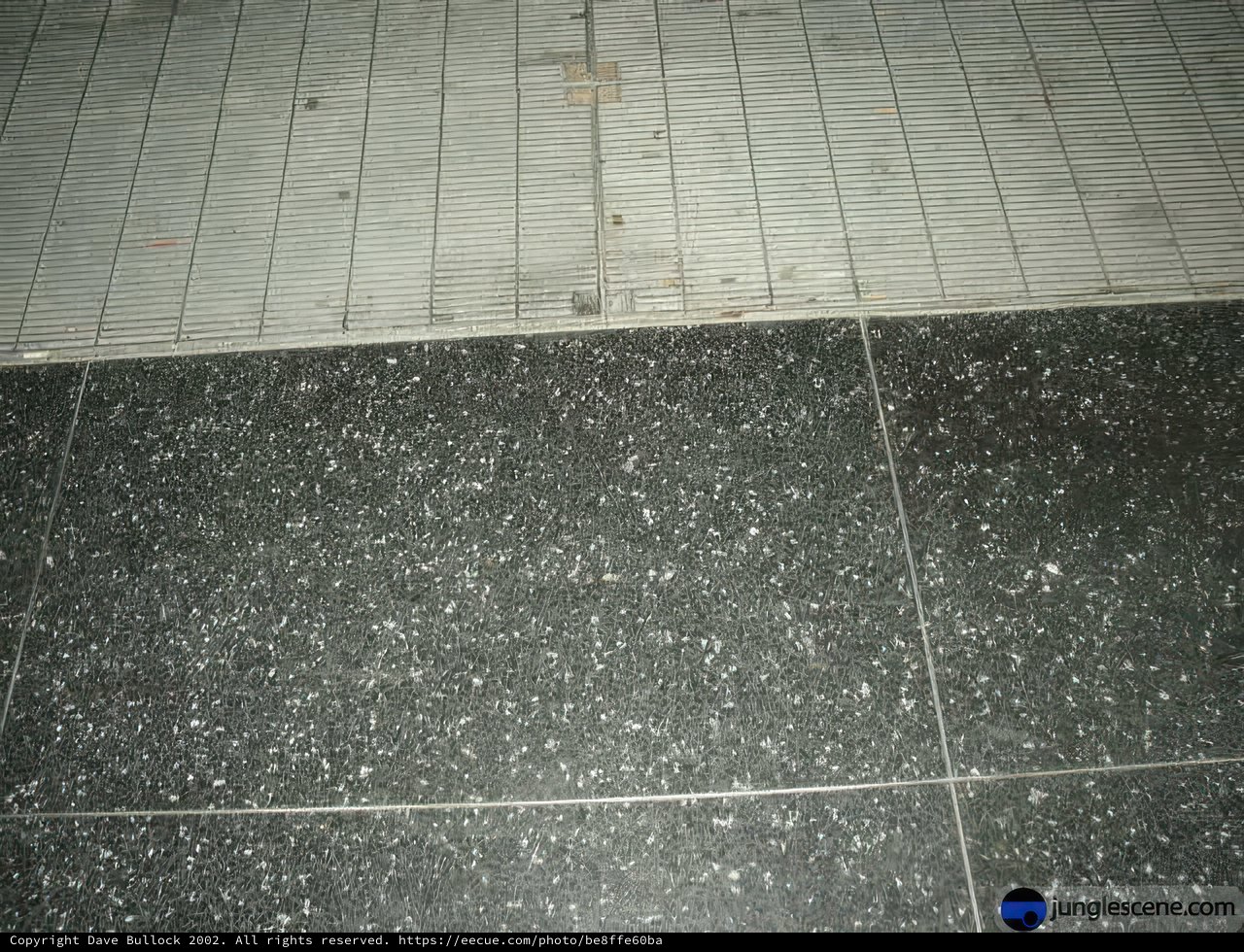 Spotted Tile Floor
