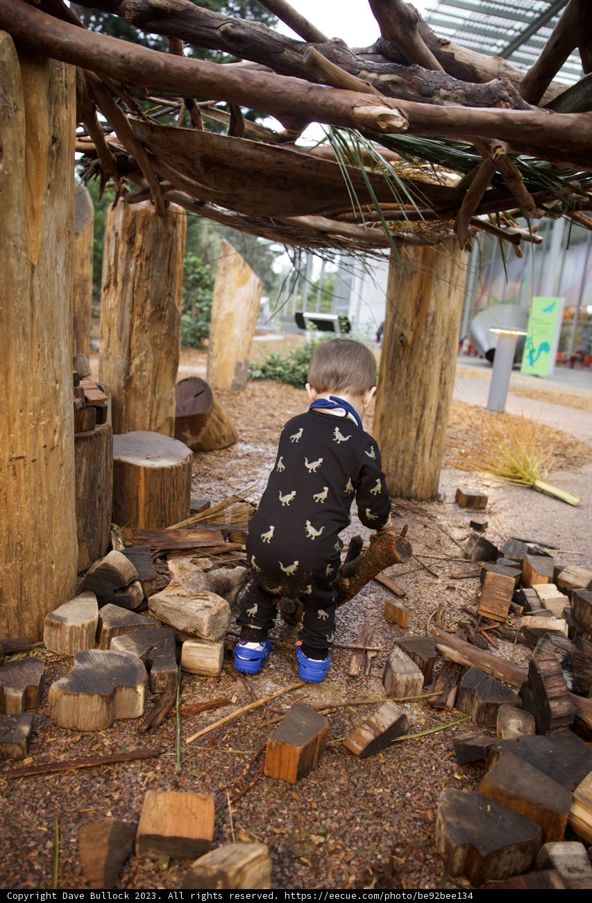 Young Explorer in Golden Gate Park
