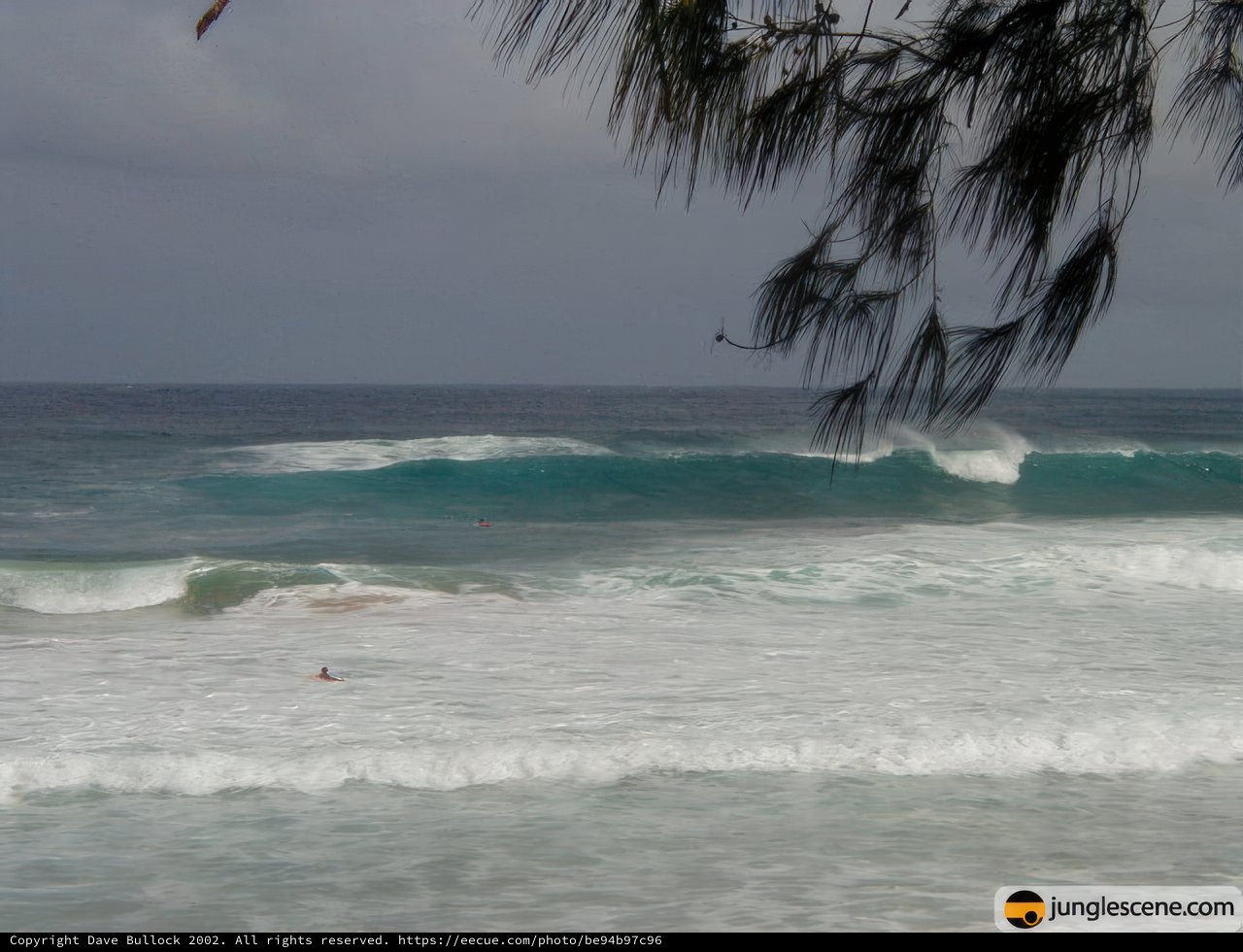 Surfing by the Shore