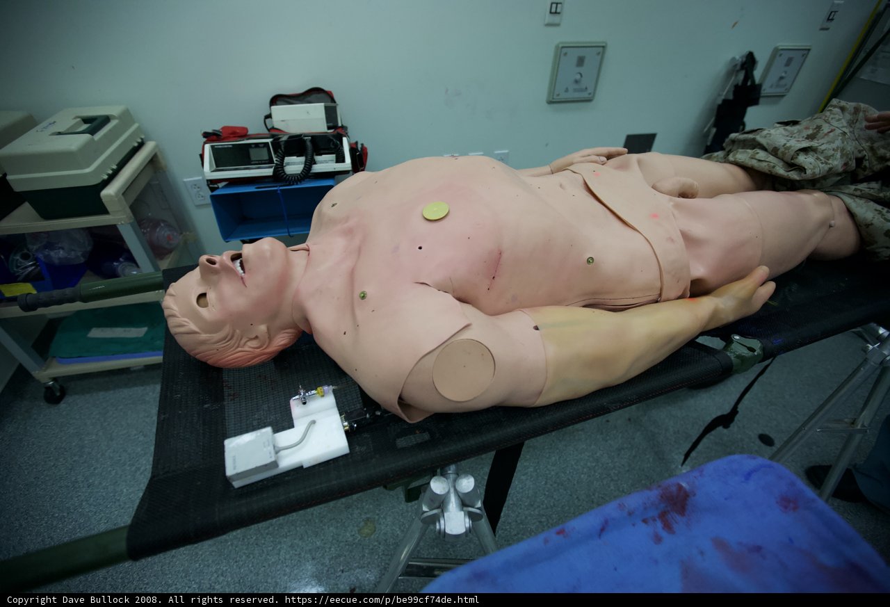 Medical Simulation with a Dummy