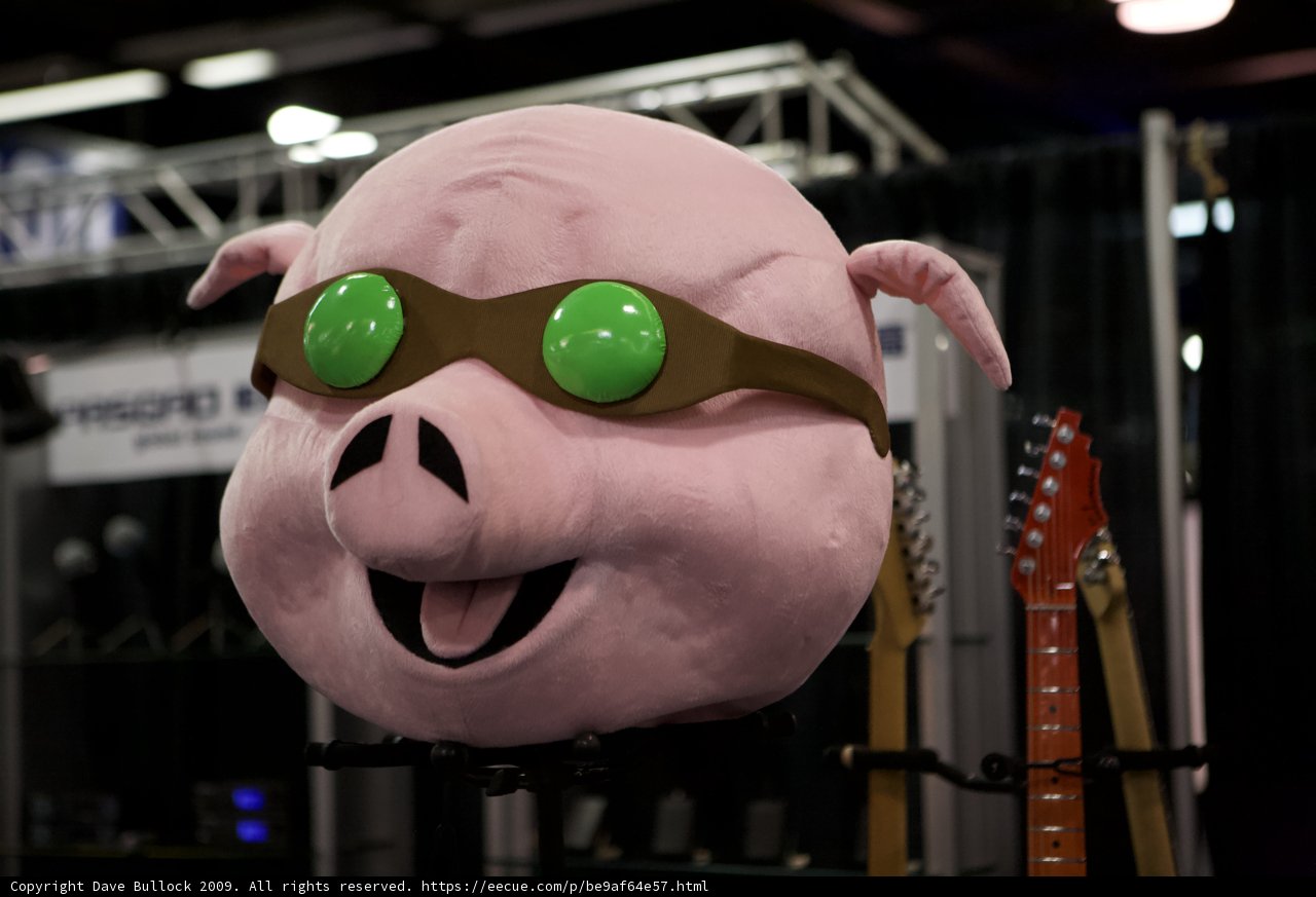 Rockin' Hog