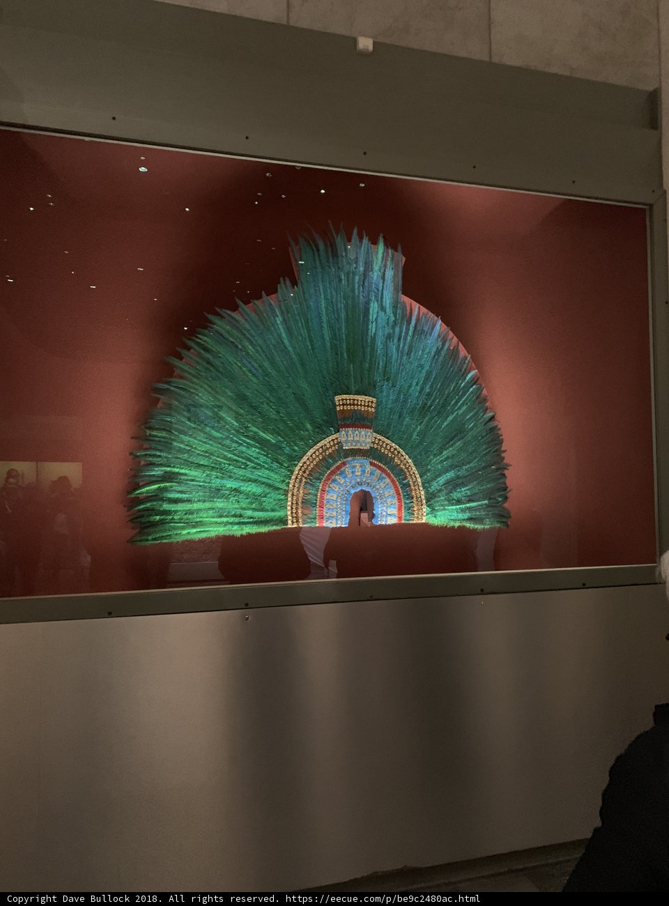 The Displayed Feather