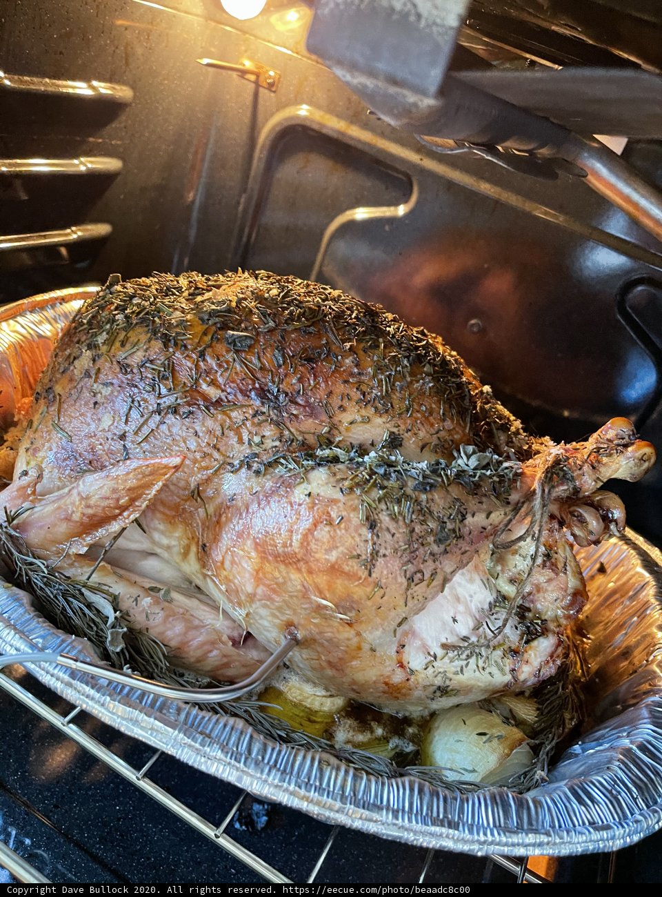 Thanksgiving Turkey Roasting in San Francisco
