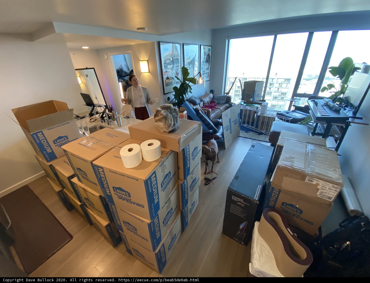 Moving In