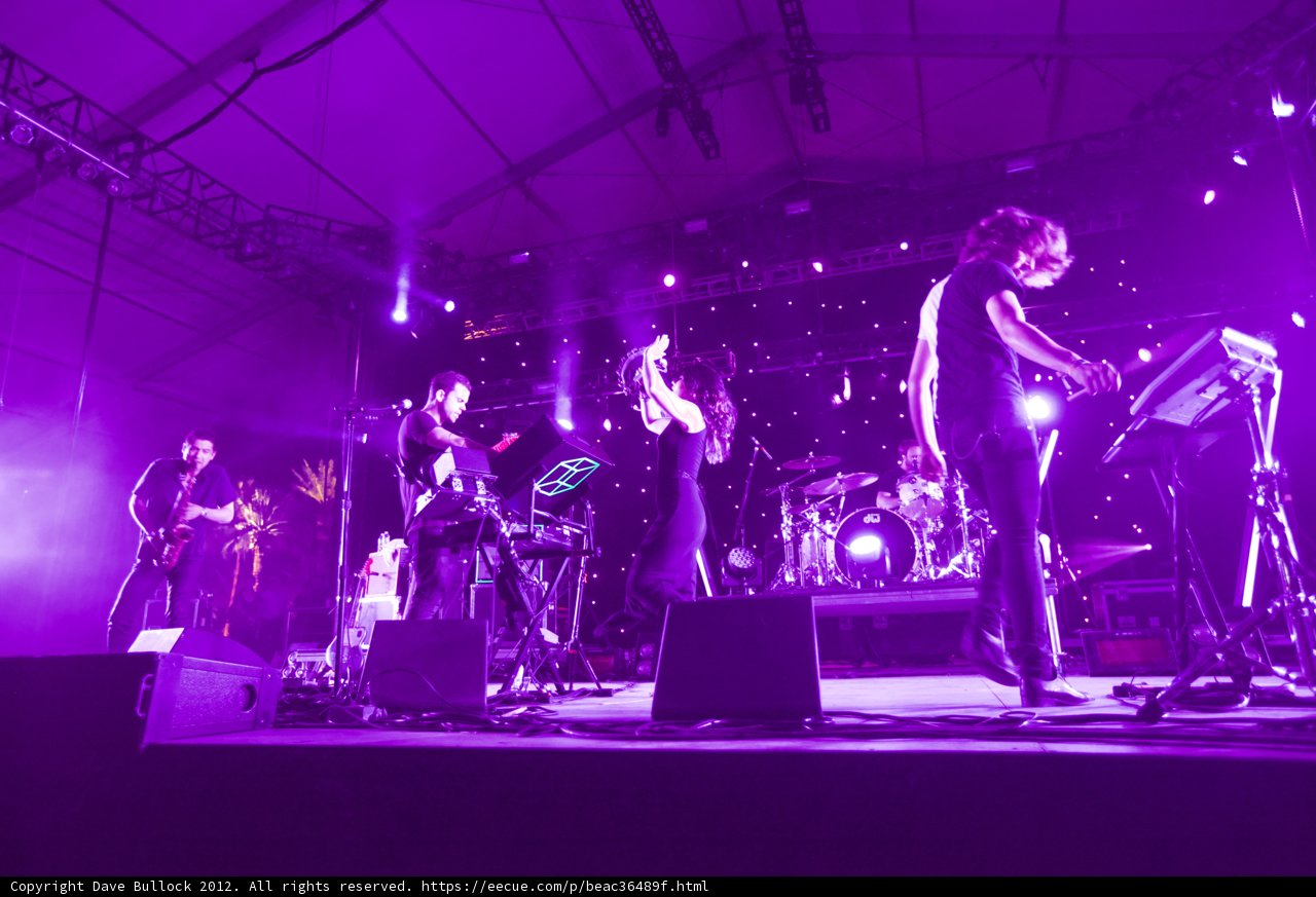 Rocking Out in the Purple Haze