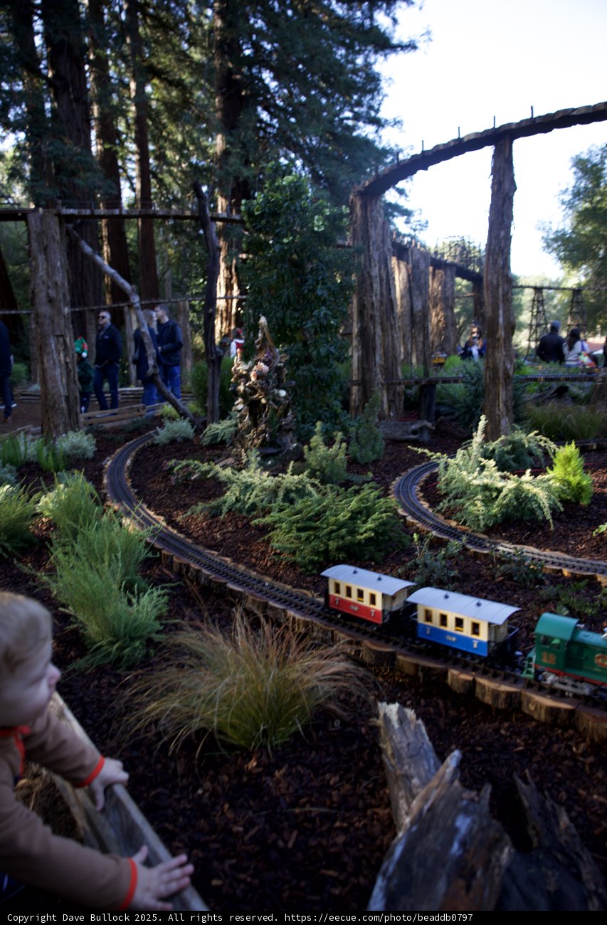 Enchanting Journey Through Thistlewyck's Miniature Railway