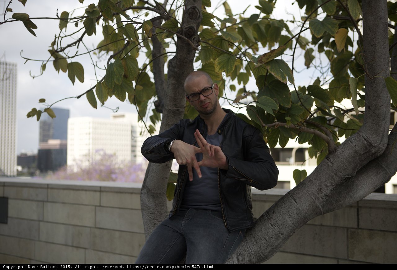 Playful Tree Portrait
