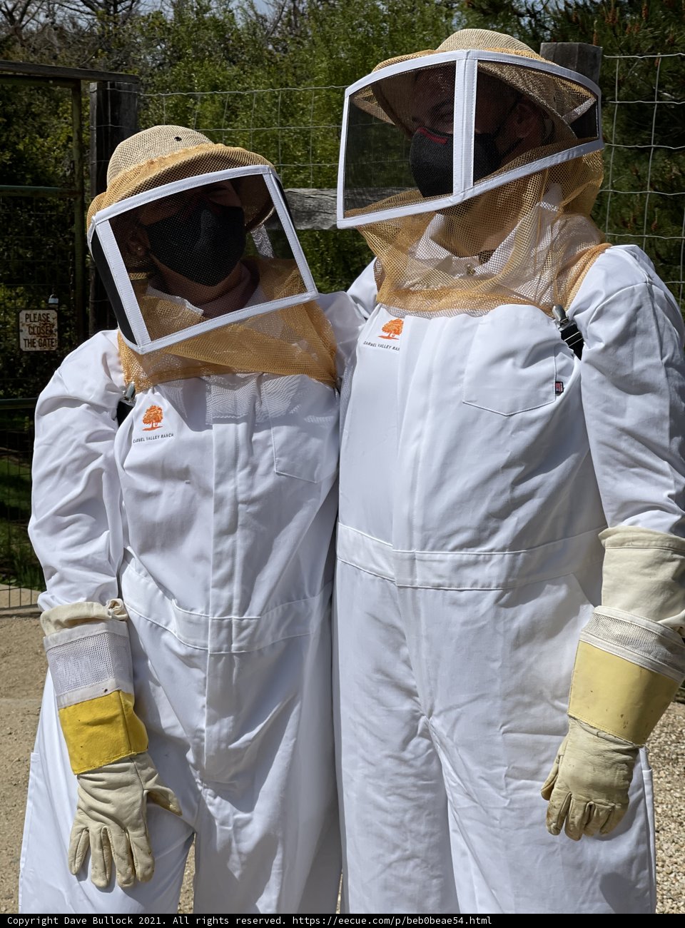 Beekeeping Buddies