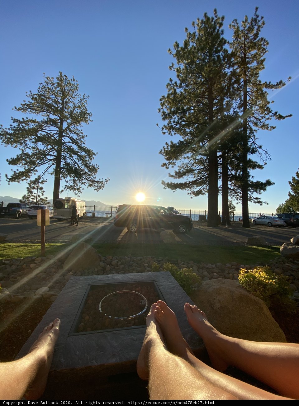 Sunset in the Grove