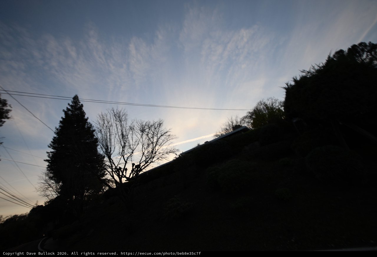 Silhouetted Hillside Trees at Twilight with Power Lines
