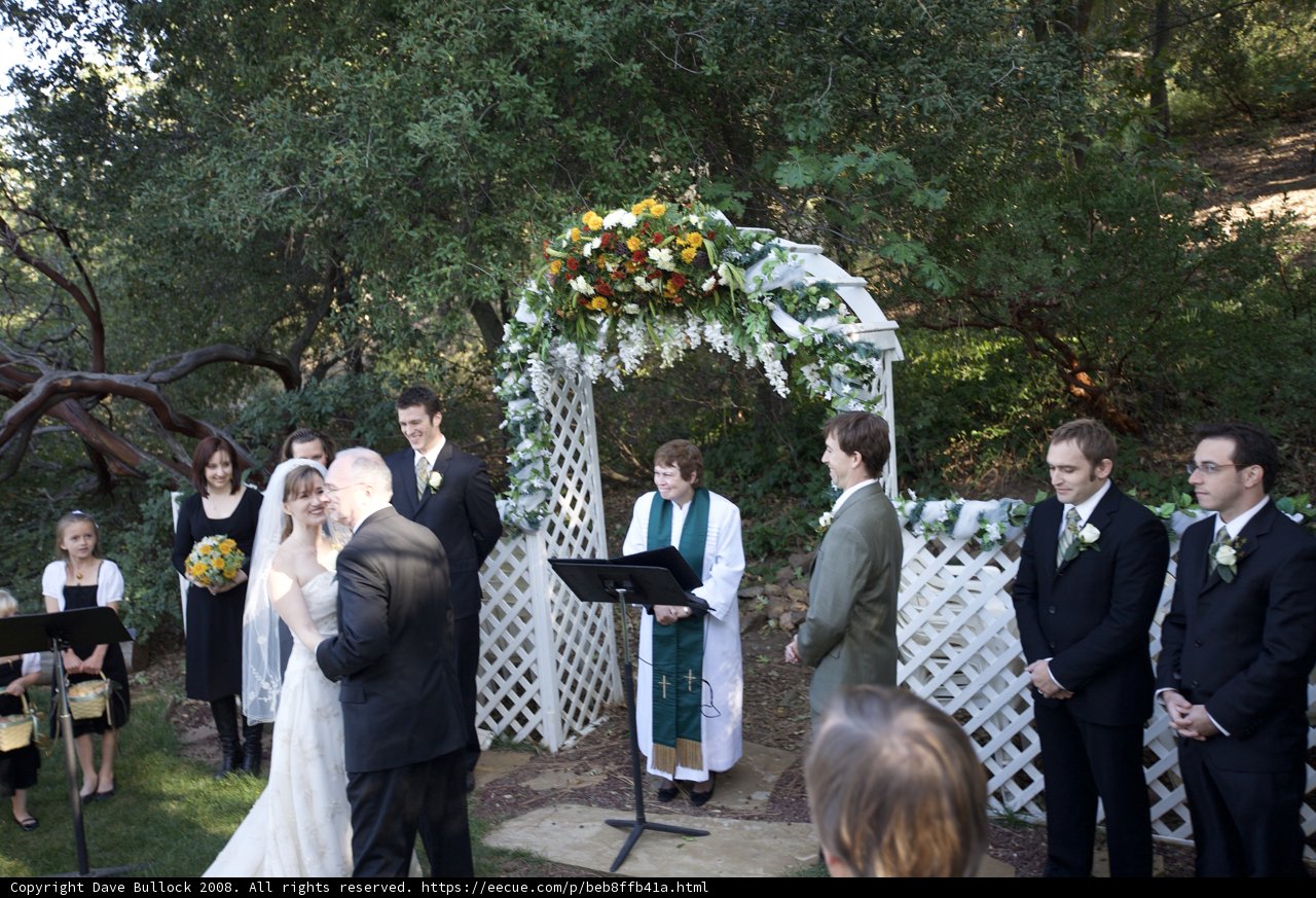 Truitt Wedding Ceremony in the Backyard