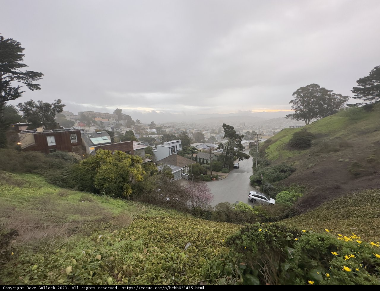 Hillside View of a Beautiful Neighborhood