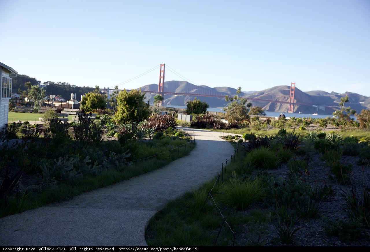 Nature's Pathway through Urban Wilderness