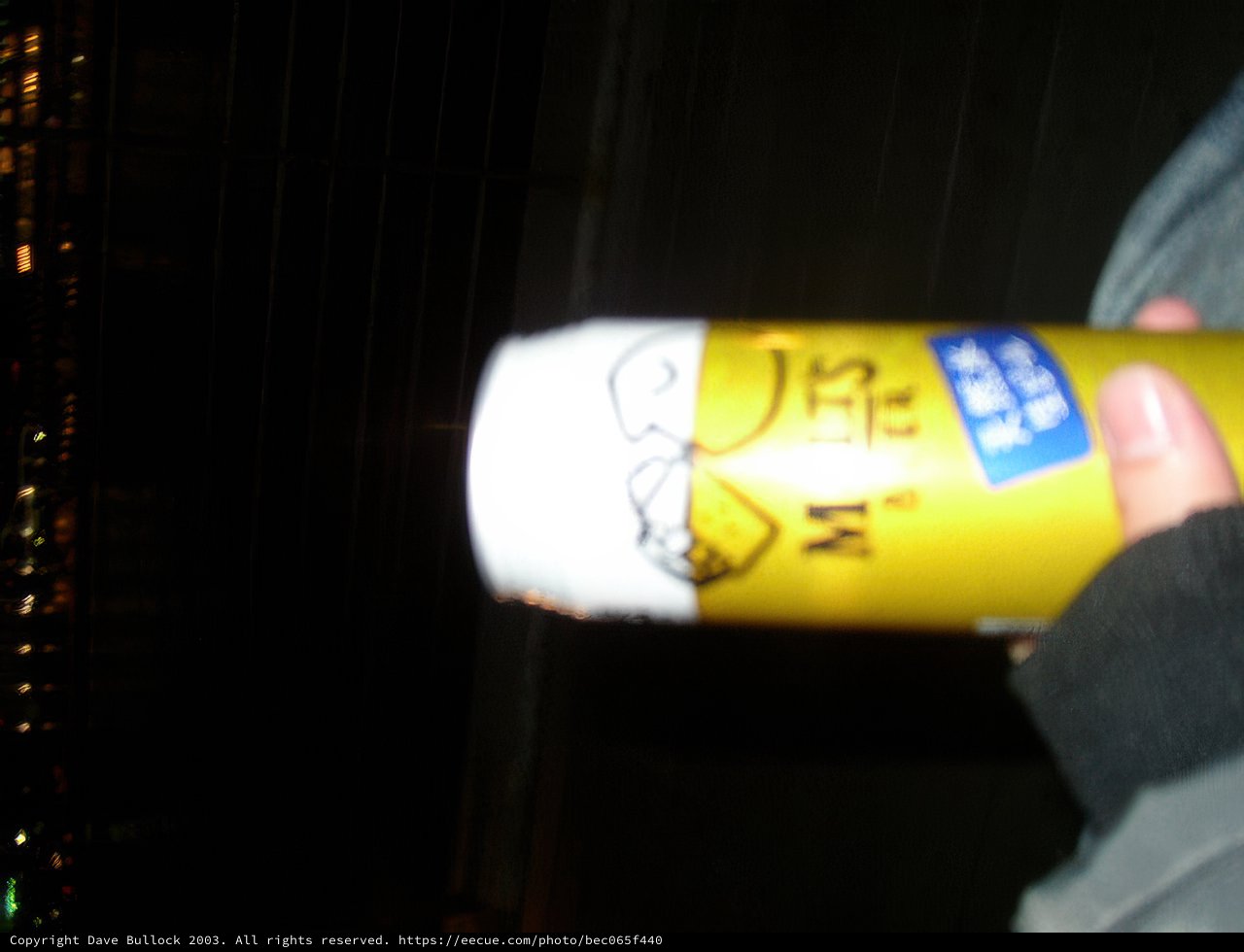 A Toast to Memories in Kyoto