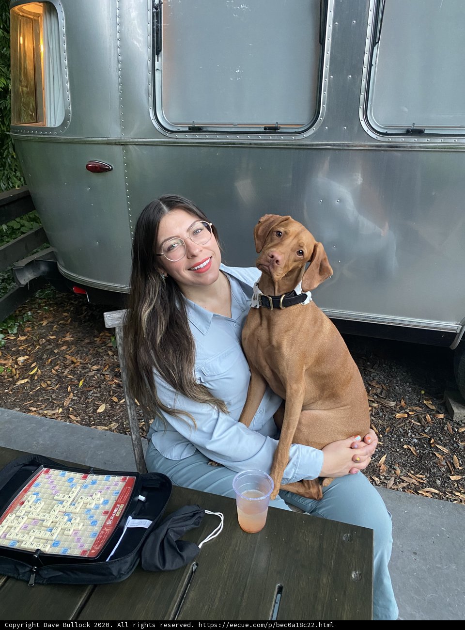 Canine Companion