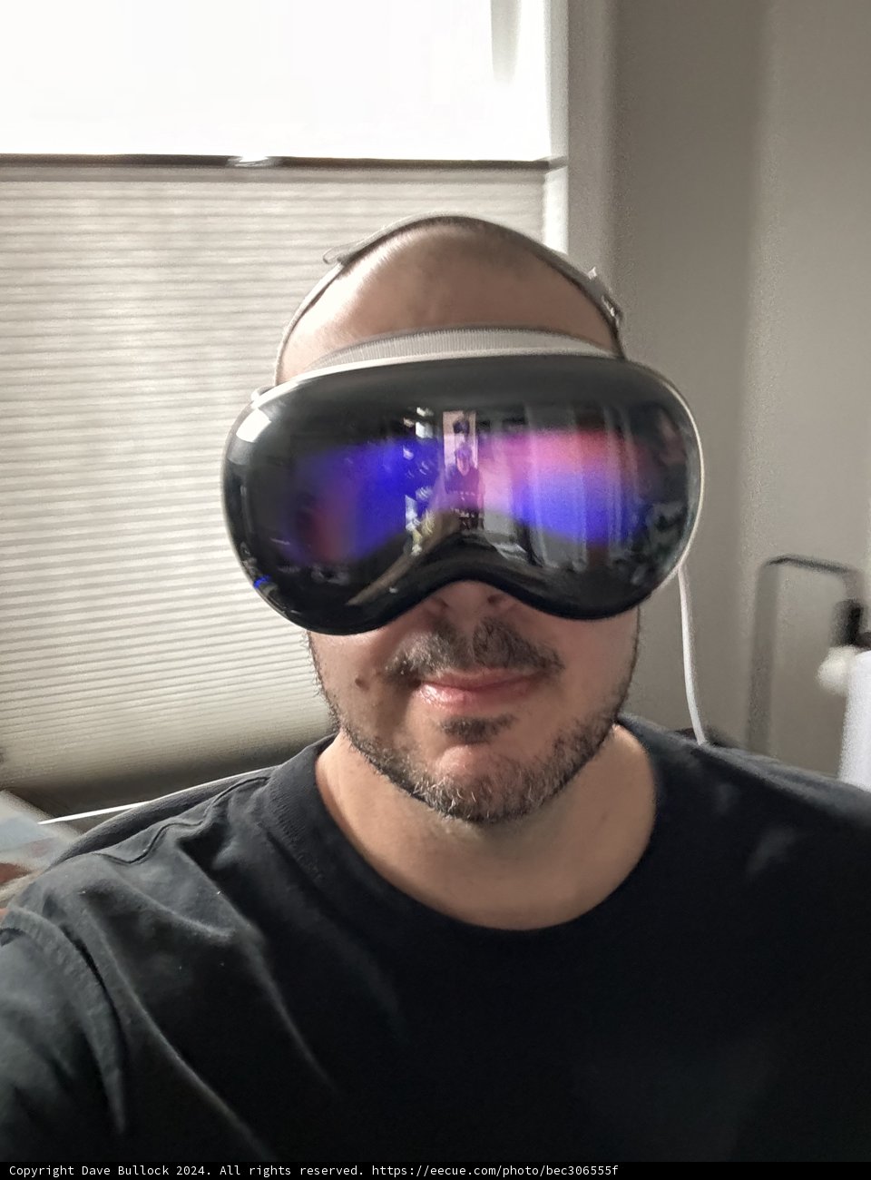 Engrossed in Virtual Horizons