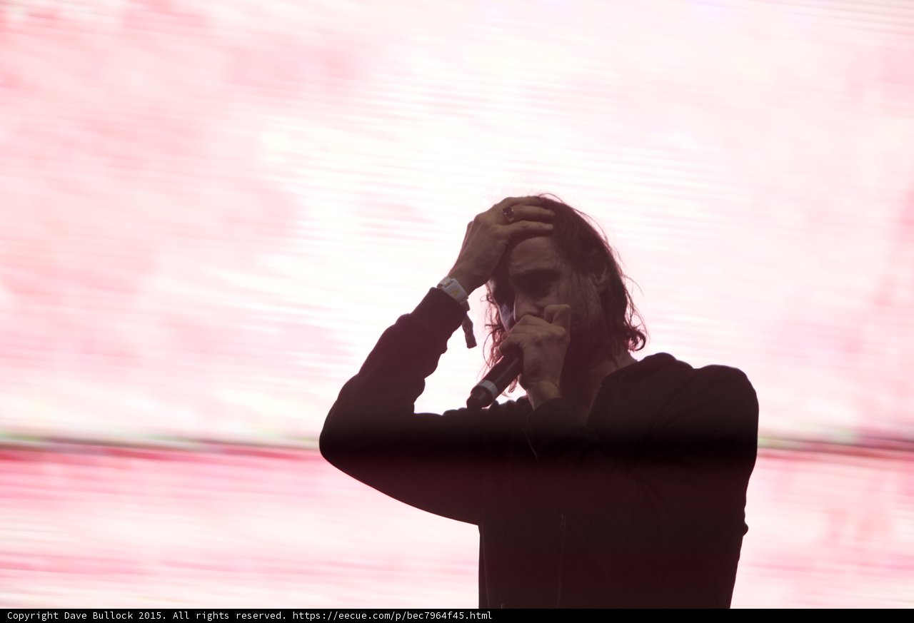 Singer Silhouette Pink Glow