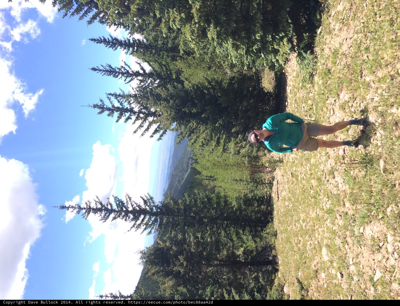 Hiker Pauses at Mountain Overlook Amid Pine Forest