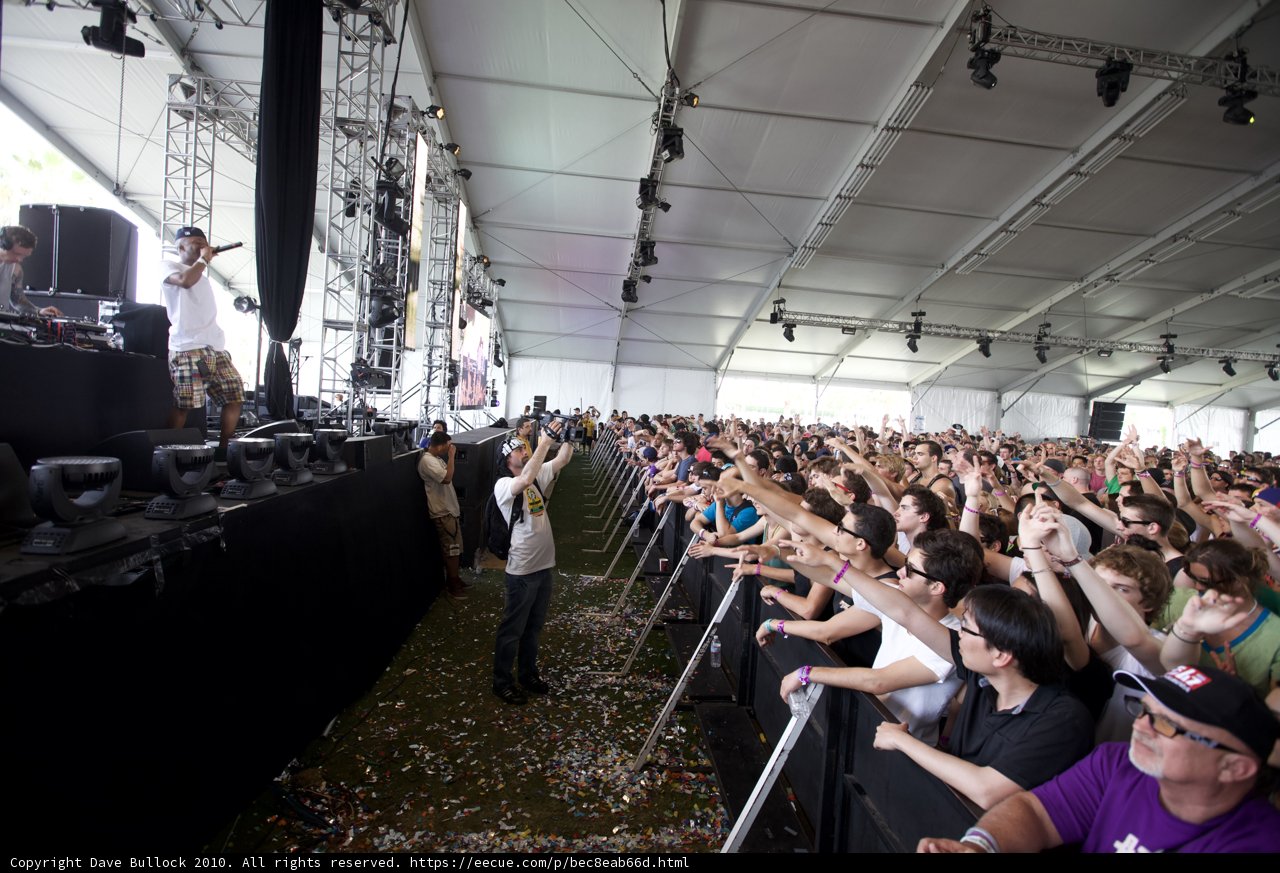 Coachella Crowd
